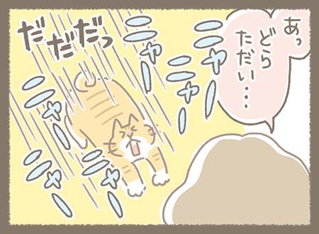 Kanmiマンガ「どらの中のイメージ：ゆきちゃん後編」