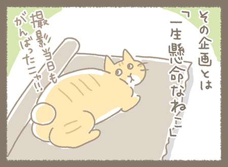 Kanmiマンガ「ねこびより」