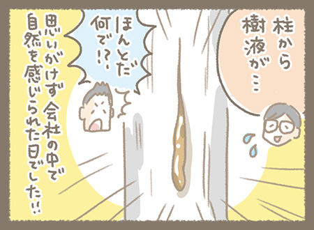 Kanmiマンガ「あきほちゃんの発見」