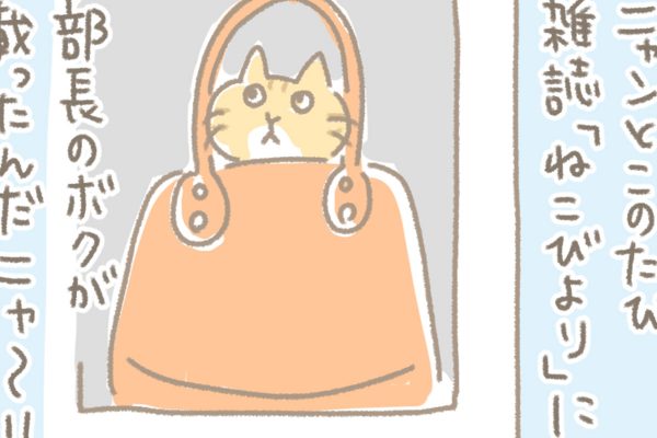 浅草革小物　Kanmi漫画「ねこびより」