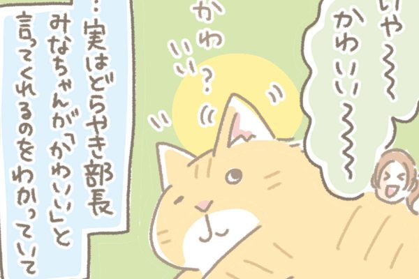 浅草革小物　Kanmi漫画「猛アピール部長 その２」