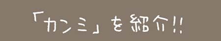 Kanmiマンガ「『カンミ』を紹介」