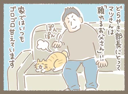 どらやき(猫)がマツさんに甘えている